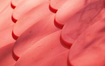 Roberton plastic roof costs