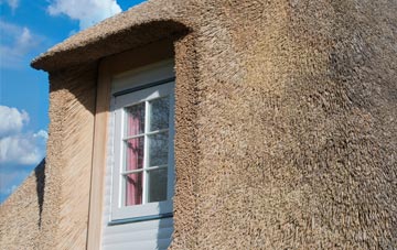 Roberton thatch roof disadvantages